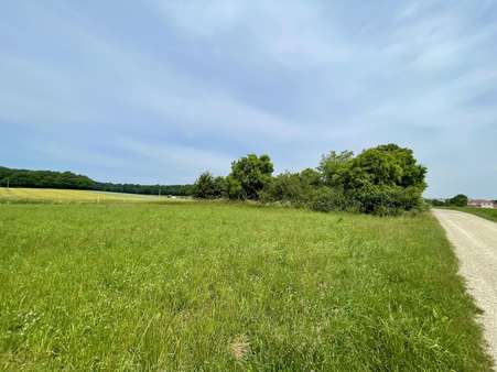 Außenansicht - Grundstück in 86735 Amerdingen mit 8696m² kaufen