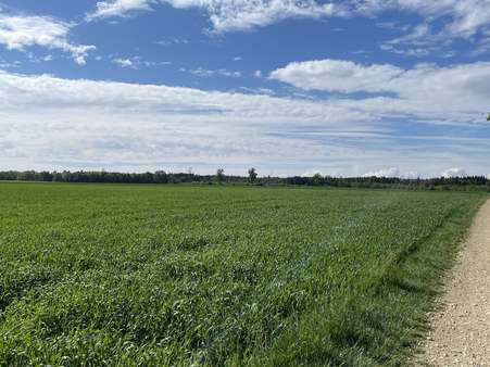 Ackerfläche - Grundstück in 86657 Bissingen mit 19220m² kaufen
