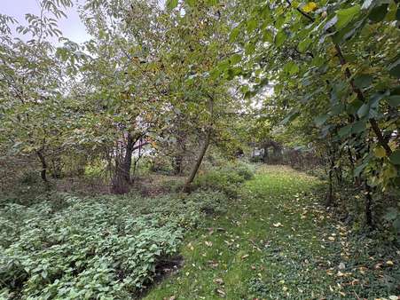 Baumbestand/Biotop und - Grundstück in 89344 Aislingen mit 2646m² kaufen