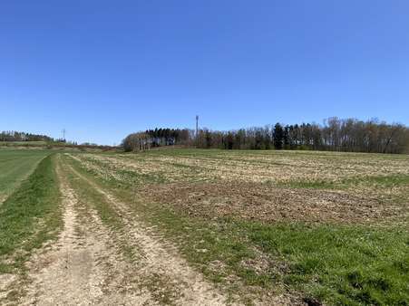 Zufahrt an der nördlichen Grundstücksgrenze - Grundstück in 89233 Neu-Ulm mit 29780m² kaufen