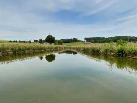 Der Weiher - Blick von Westen - Grundstück in 89293 Kellmünz mit 3995m² kaufen