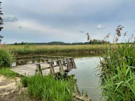Weiher und Steg - Blick aus Süd-West - Grundstück in 89293 Kellmünz mit 3995m² kaufen