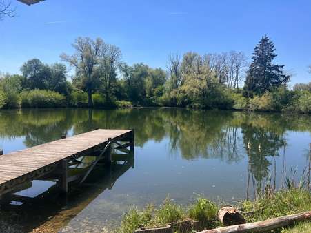 Grundstück & See - Grundstück in 89155 Erbach mit 7494m² kaufen