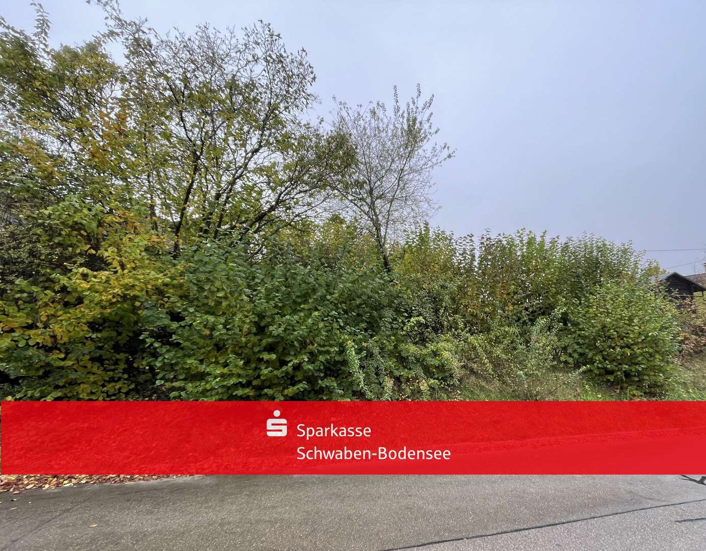 Straßenansicht - Ostseite - Grundstück in 86477 Adelsried mit 500m² kaufen