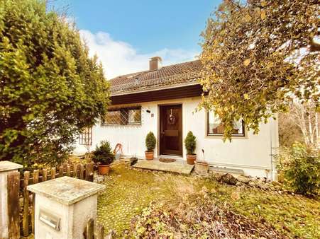 nördlicher Eingangsbereich - Einfamilienhaus in 86470 Thannhausen mit 160m² kaufen