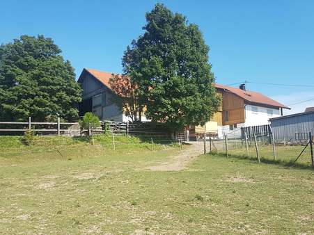 Nordwest-Ansicht mit Koppel -  in 87733 Markt Rettenbach mit 288m² mieten