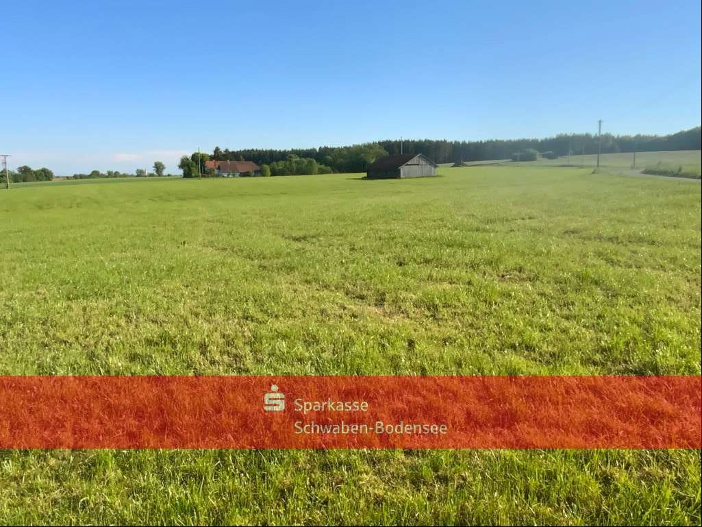 Ansicht - Sonstige Landwirtschaftsimmobilie in 87769 Oberrieden mit 0m² kaufen