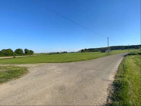 Ansicht vom Weg aus - Sonstige Landwirtschaftsimmobilie in 87769 Oberrieden mit 0m² kaufen