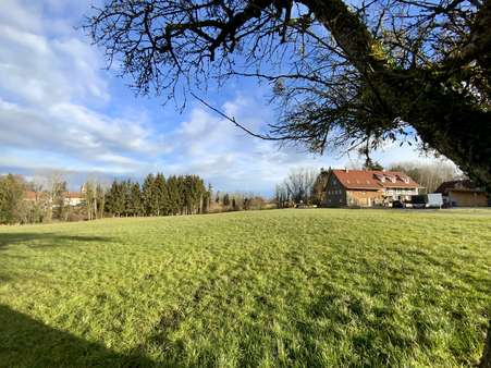 Blick vom Feld auf das Haus Blick vom Feld auf das Haus - Maisonette-Wohnung in 88138 Sigmarszell mit 110m² kaufen