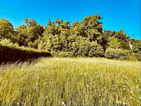 von Süden - Grundstück in 86470 Thannhausen mit 1237m² kaufen