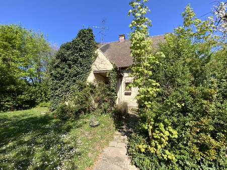 Ansicht - Einfamilienhaus in 89340 Leipheim mit 160m² kaufen