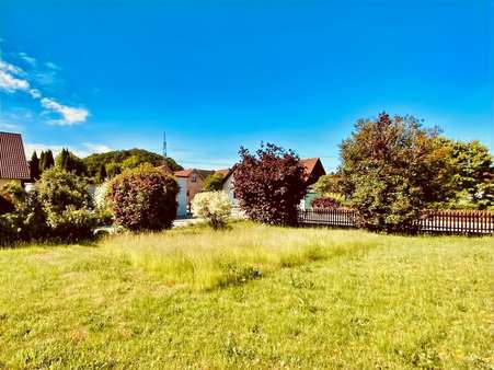 grün eingewachsener Garten - Einfamilienhaus in 86513 Ursberg mit 170m² kaufen