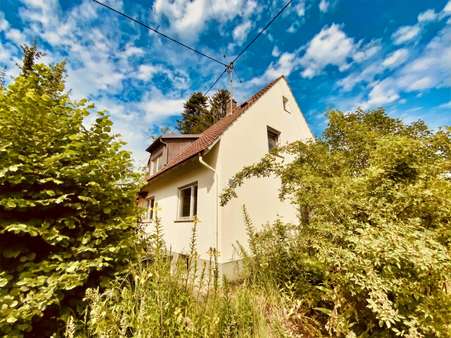 Südostansicht - Einfamilienhaus in 86473 Ziemetshausen mit 100m² kaufen