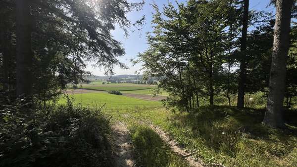 Wald - Jagd- / Forstwirtschaft in 86450 Altenmünster mit 0m² kaufen
