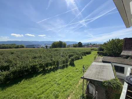 Aussicht auf die Obstplantage Aussicht auf die Obstplantage - Zweifamilienhaus in 88131 Lindau mit 183m² kaufen