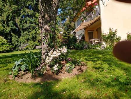 Eingewachsener Garten Eingewachsener Garten - Grundstück in 86356 Neusäß mit 1323m² kaufen