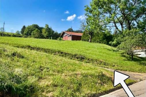 Blick nach Norden Blick nach Norden - Grundstück in 87497 Wertach mit 674m² kaufen