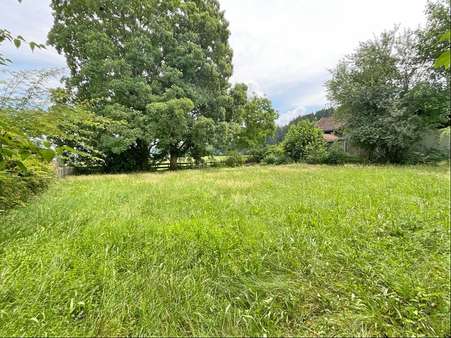 Grundstück - Grundstück in 87448 Waltenhofen mit 750m² kaufen