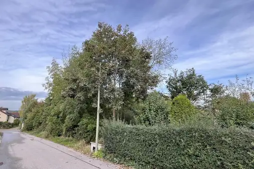 Projekt "Wagnerhaus" - attraktives teilbares Baugrundstück