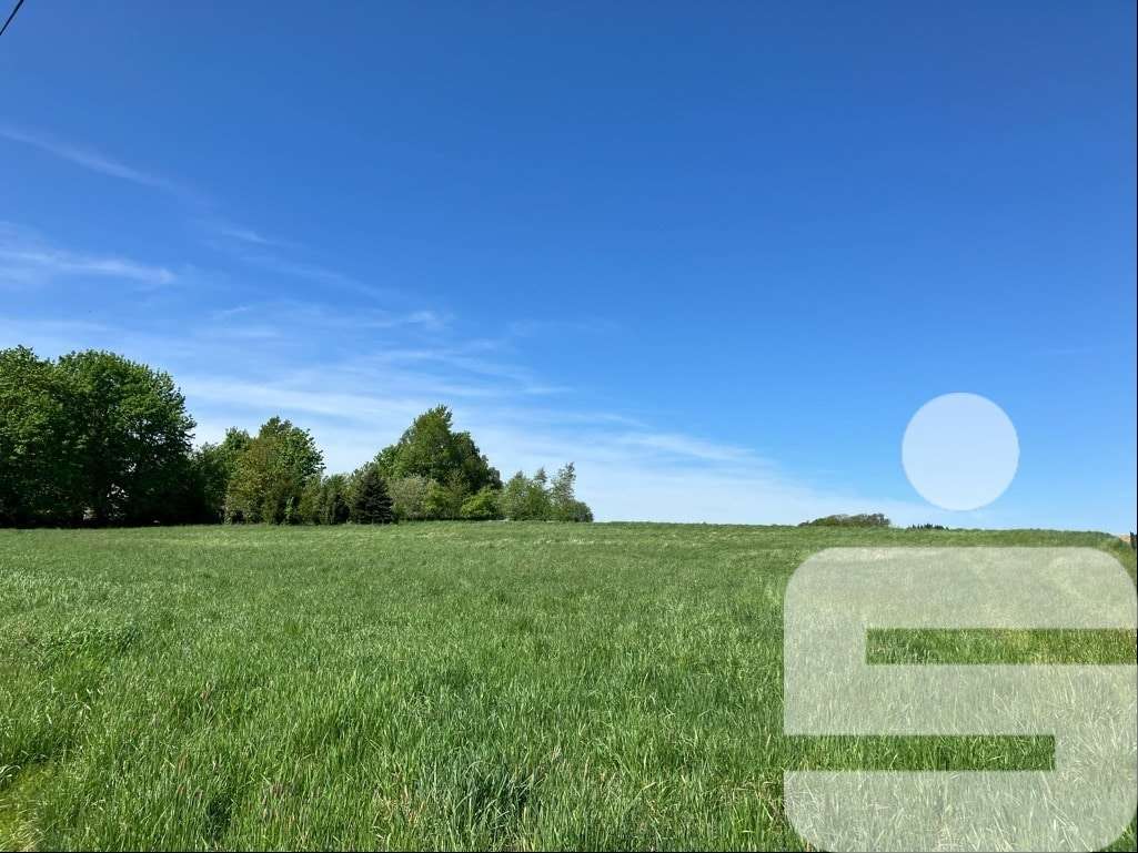 Grundstück mit über 6.600 m² - Grundstück in 94099 Ruhstorf mit 6752m² kaufen