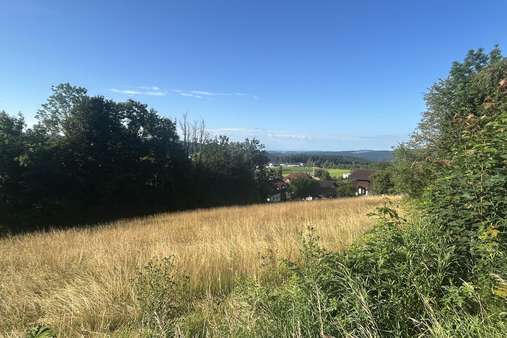 Ansicht Grundstück Ansicht Grundstück - Grundstück in 94110 Wegscheid mit 4855m² kaufen