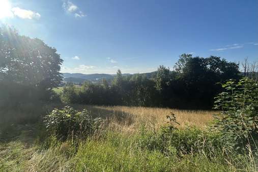 Ansicht Grundstück Ansicht Grundstück - Grundstück in 94110 Wegscheid mit 4855m² kaufen