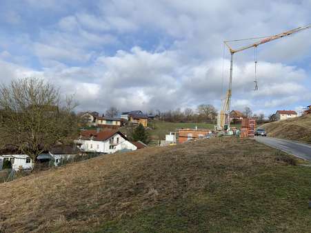Blick auf das Grundstück - Grundstück in 94127 Neuburg mit 731m² kaufen