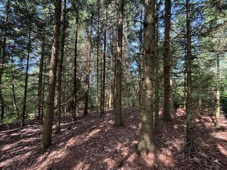 Wald - Grundstück in 94548 Innernzell mit 20300m² kaufen