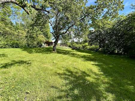 Garten Garten - Einfamilienhaus in 94518 Spiegelau mit 200m² kaufen