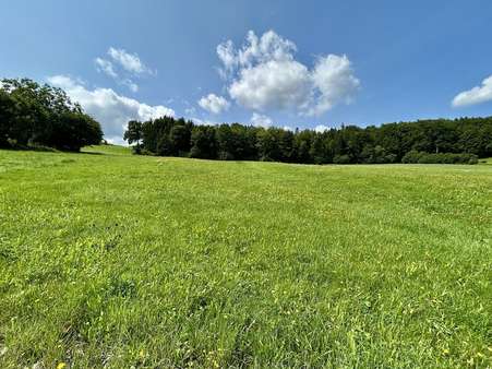 Ost Ansicht - Grundstück in 94481 Grafenau mit 1954m² kaufen