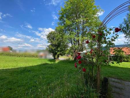 Blick in die Landschaft - Einfamilienhaus in 94158 Philippsreut mit 192m² kaufen