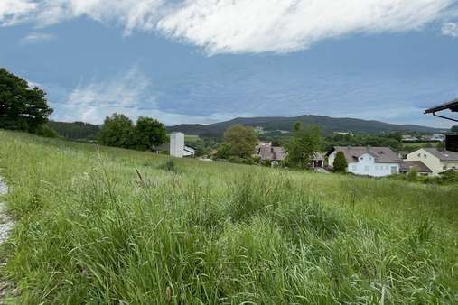 Grundstück in 94256 Drachselsried mit 788m² kaufen