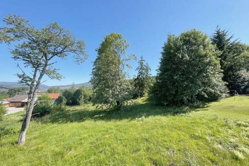 Grundstück - Einfamilienhaus in 94227 Lindberg mit 155m² kaufen
