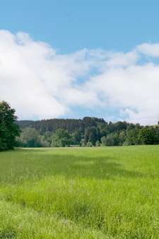 null - Grundstück in 94256 Drachselsried mit 20471m² kaufen