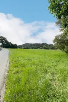 Landwirtschaftsfläche mit Entwicklungspotential in Drachselsried