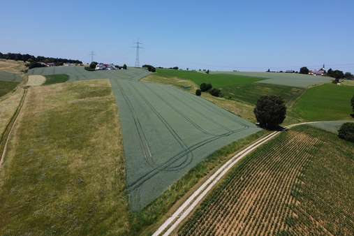 Acker bei Unterweilnbach Acker bei Unterweilnbach - Ackerbau in 84177 Gottfrieding mit 0m² kaufen