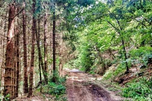Waldweg - Sonstige Landwirtschaftsimmobilie in 94336 Hunderdorf mit 0m² kaufen