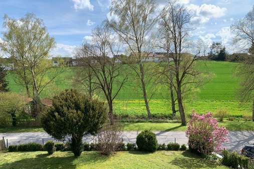 Aussicht im Frühjahr - Einfamilienhaus in 84175 Gerzen mit 126m² kaufen