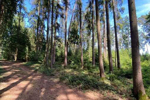 Bestand - Grundstück in 84088 Neufahrn mit 21386m² kaufen
