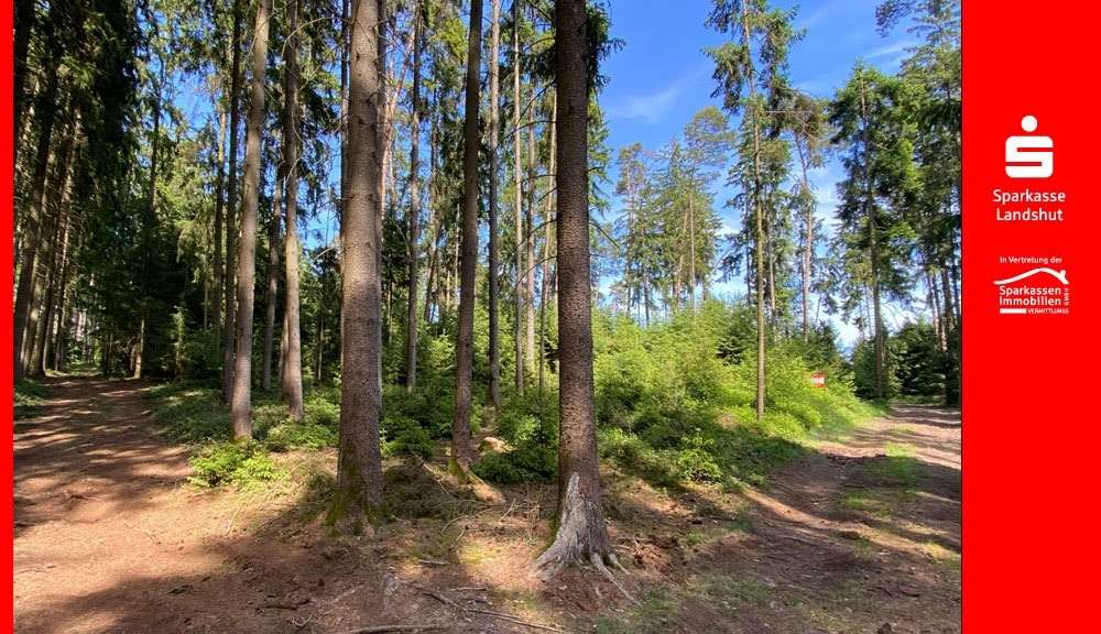Titel mit rotem Rahmen - Grundstück in 84088 Neufahrn mit 21386m² kaufen