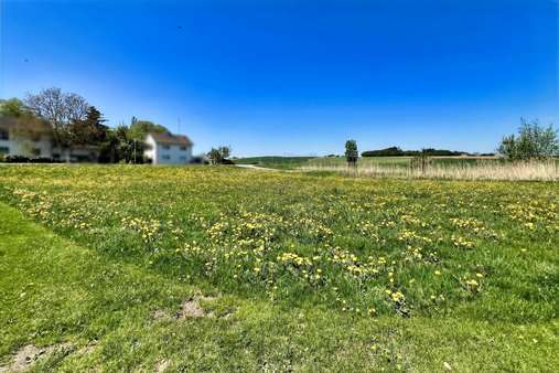 Außenansicht - Grundstück in 84140 Gangkofen mit 1560m² kaufen