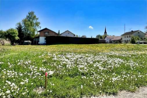 Außenansicht - Grundstück in 84140 Gangkofen mit 1560m² kaufen