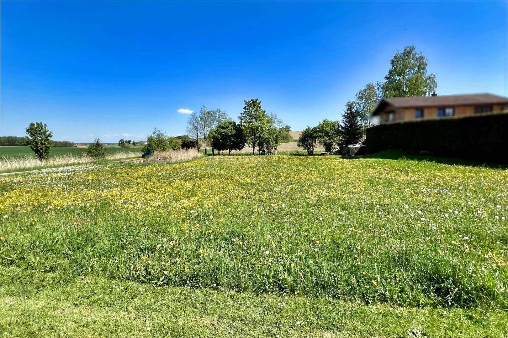 Außenansicht - Grundstück in 84140 Gangkofen mit 1560m² kaufen
