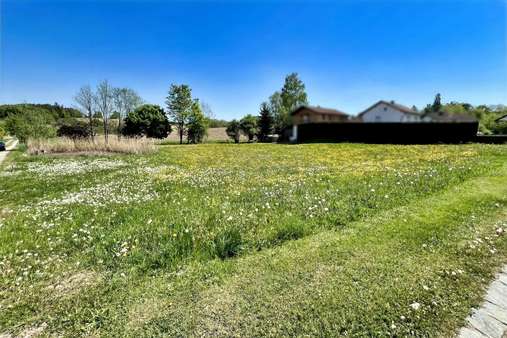 Außenansicht - Grundstück in 84140 Gangkofen mit 1560m² kaufen
