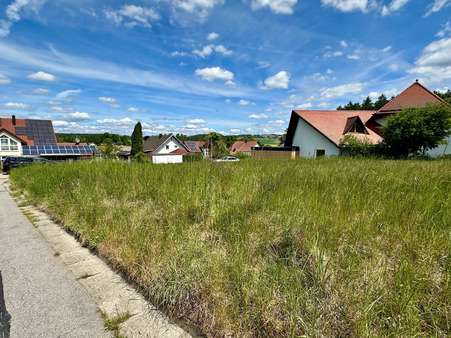 Ansicht - Grundstück in 93170 Bernhardswald mit 773m² kaufen