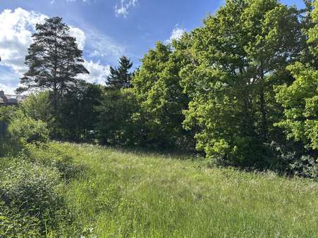 Blick ins Grundstück - Grundstück in 93152 Nittendorf mit 1443m² kaufen