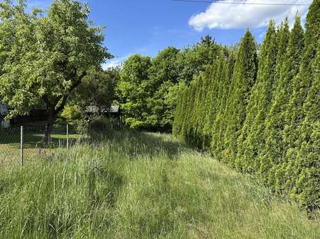 Zufahrt - Grundstück in 93152 Nittendorf mit 1443m² kaufen