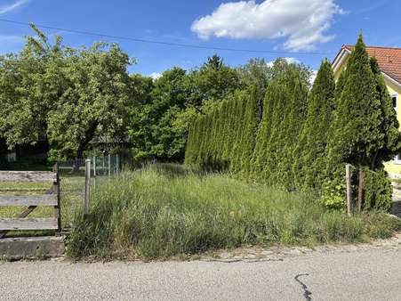 Zufahrt Straßenseite - Grundstück in 93152 Nittendorf mit 1443m² kaufen