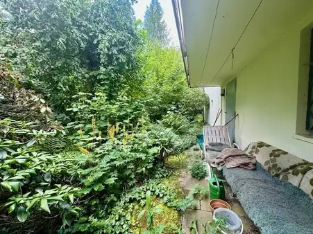 Sanierung oder Freilegung ?