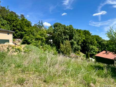 Ansicht - Grundstück in 93152 Nittendorf mit 931m² kaufen